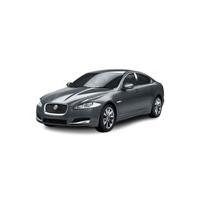 XF
