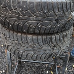Wolf Tyres
